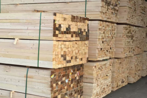 新疆木材加工厂里忙“淘金”