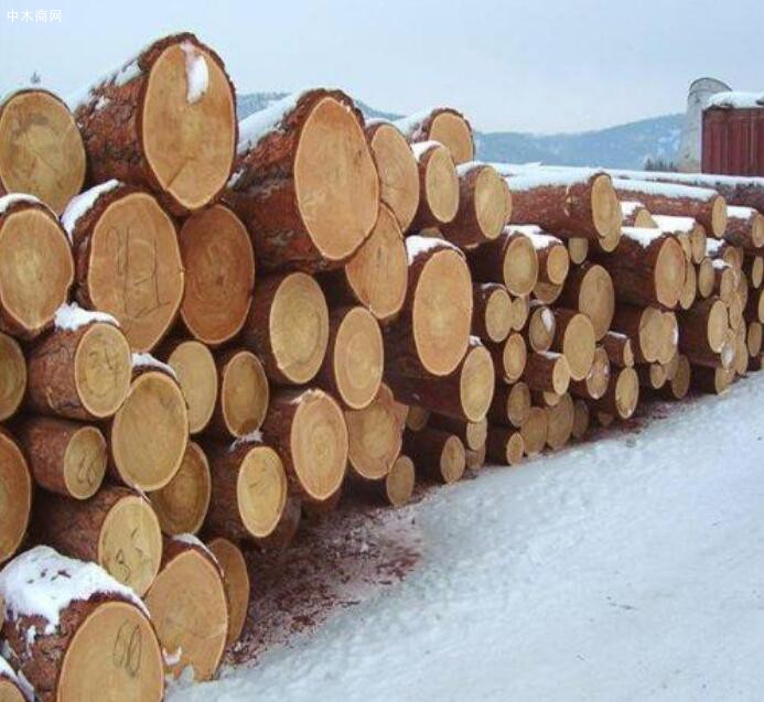 木材有哪些基本性质特点