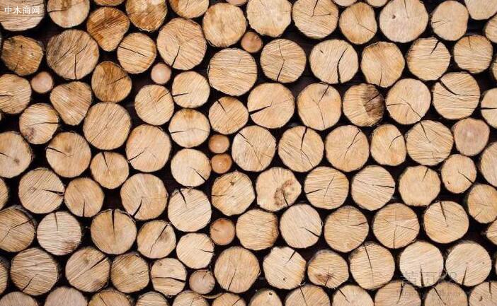 木材的优缺点有哪些厂家