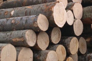 木材的优缺点有哪些?