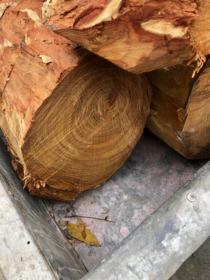 越南黄花梨原木价格多少钱一斤品牌