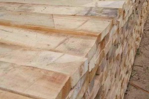 精品白杨木板材,白椿木板材各种规格家具烘干板材长期供应图2