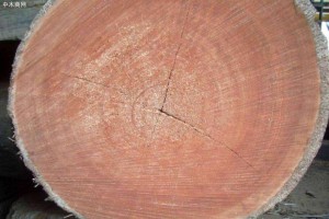 海棠木在实木家具木材档次排名,海棠木家具的优缺点有哪些?