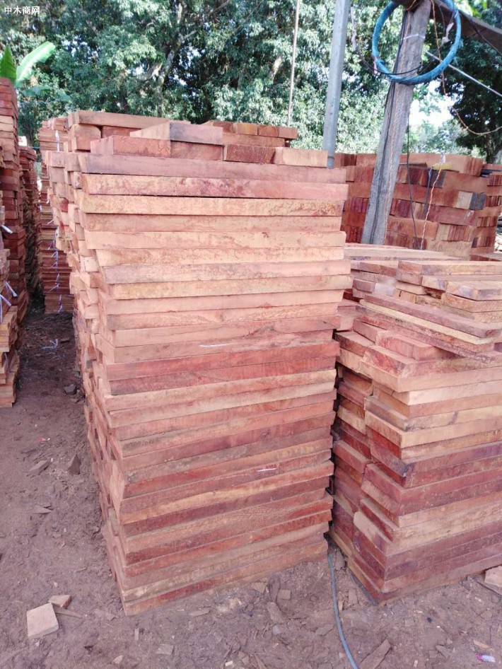 大量供应野荔枝板材或原木价格