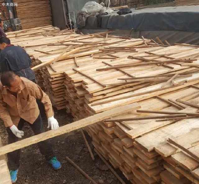 河南建淼木业加工厂最新白杨木烘干板材报价：1300元/立方米