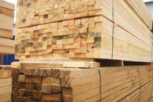 辐射松建筑木方生产厂家批发价格