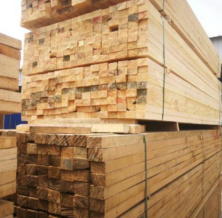 东莞市林和木业辐射松建筑木方高清图片