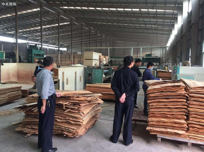 生态环境部调研组来兰山区木业加工企业调研