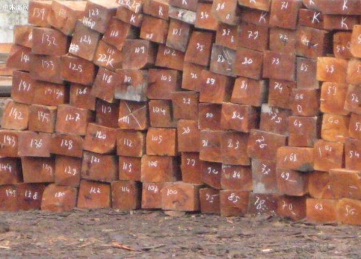 长期供应高档进口缅甸花梨木原木板材