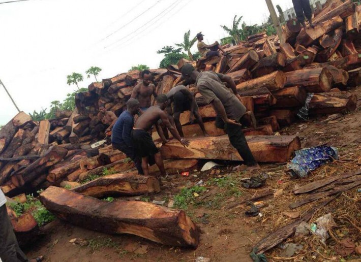 非洲木材商称已被告知意大利的港口已经停止木材运输