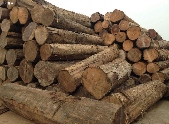 1-5月缅甸曼德勒省林业局查获非法木材1458.77吨
