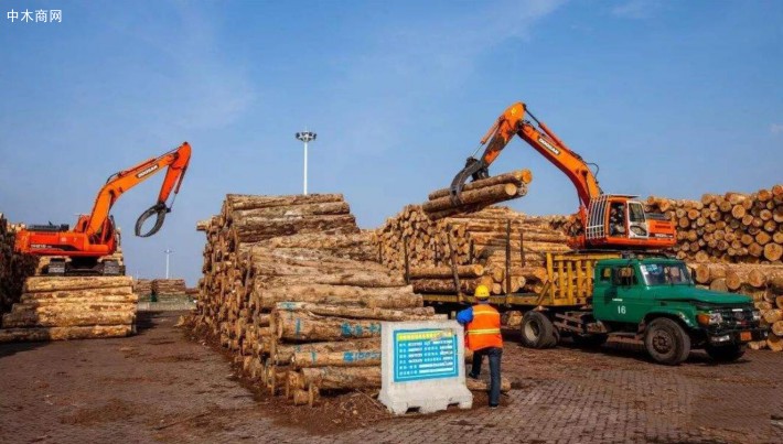 今年新民洲木材港口已接卸进口木材101.17万立方米