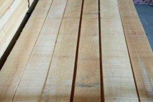 美国硬枫木板材原产地直销图2