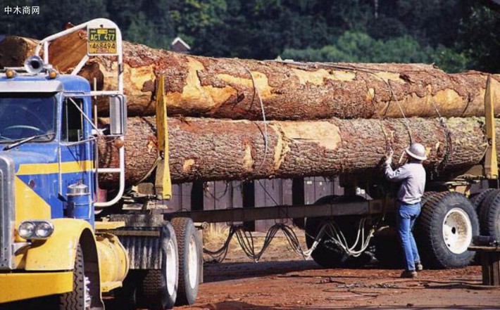 绥芬河原木未经检疫处理的木材禁止公路运输