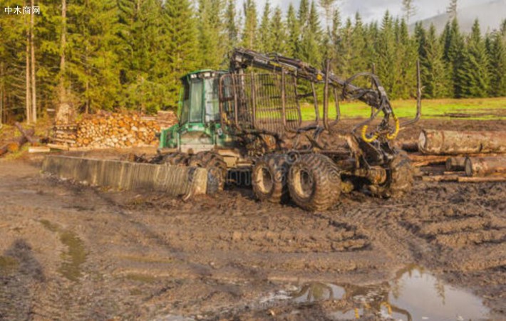 今年俄罗斯新西伯利亚州木材采伐量已经超过15万立方米!