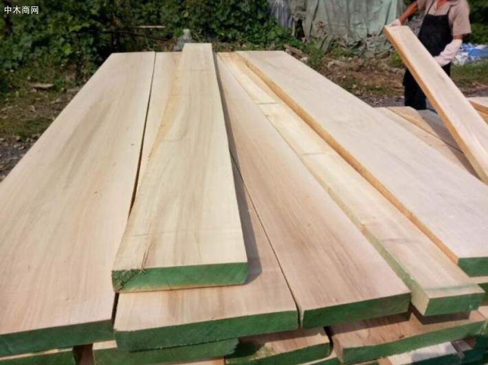 白杨木板材优缺点及特点用途价格