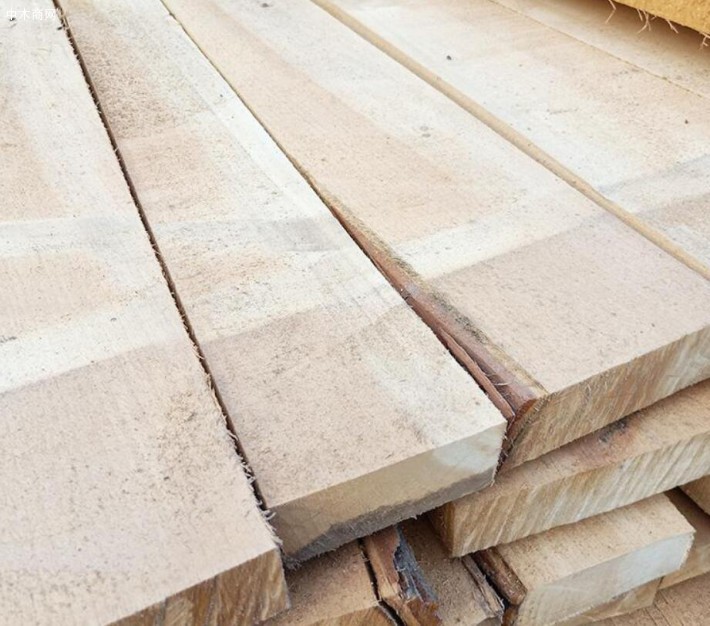 白杨木板材优缺点及特点用途