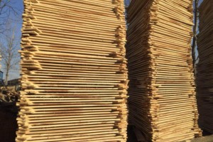 白杨木烘干板材加工厂家批发价格图2