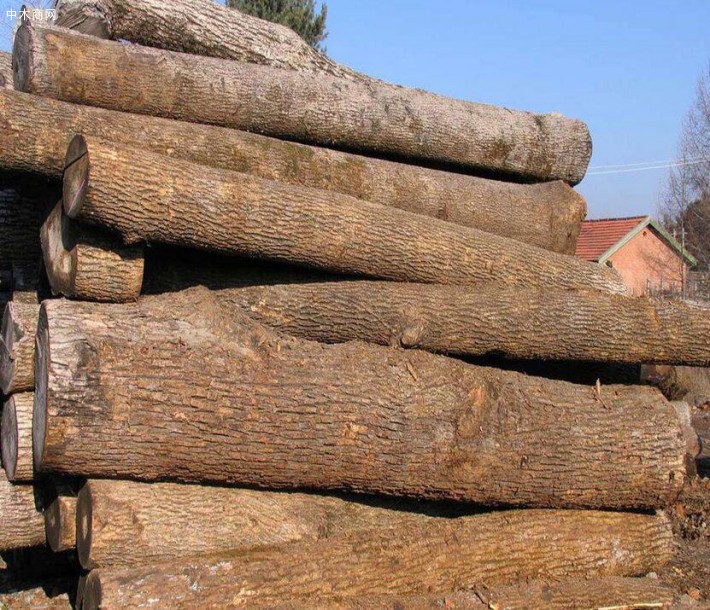 硬杂木原木生产厂家高清图片价格