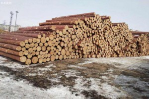 俄罗斯木材商将出口重点从欧洲转移到中国和亚太国家