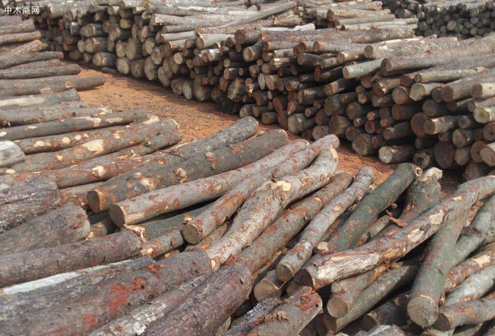 山杂木原木价格一般多少钱一吨