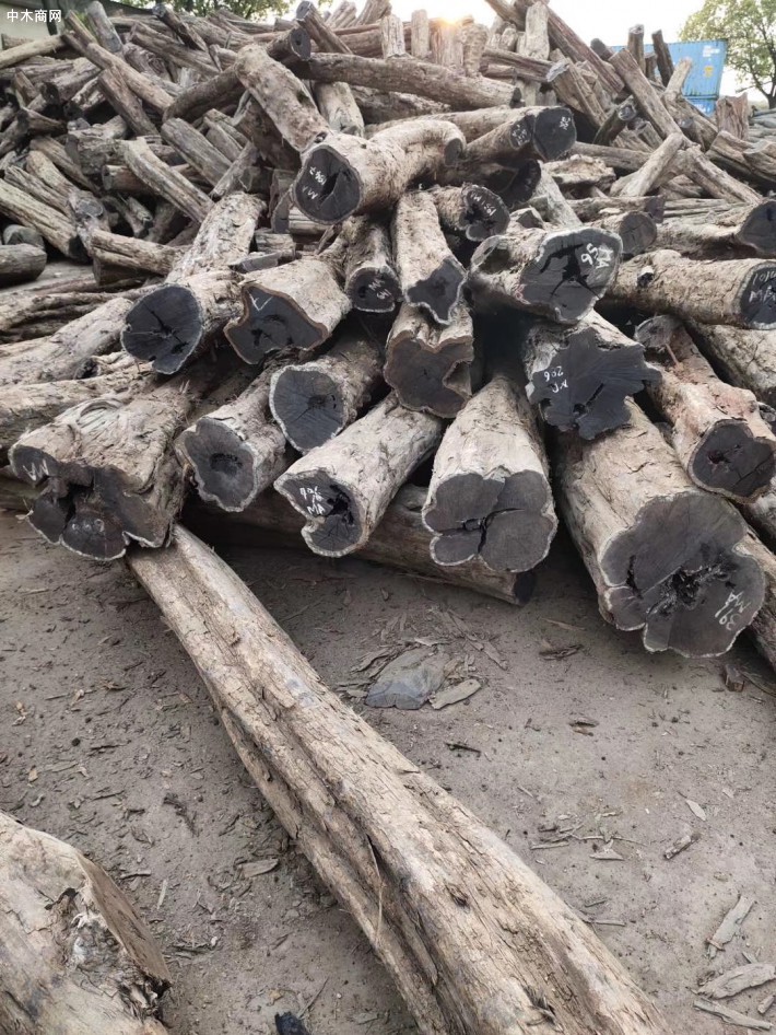 巴新政府拟在2025年禁止原木木材出口