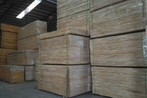 大量批发楸木自然板指接板,各种尺寸规格家具板材图2