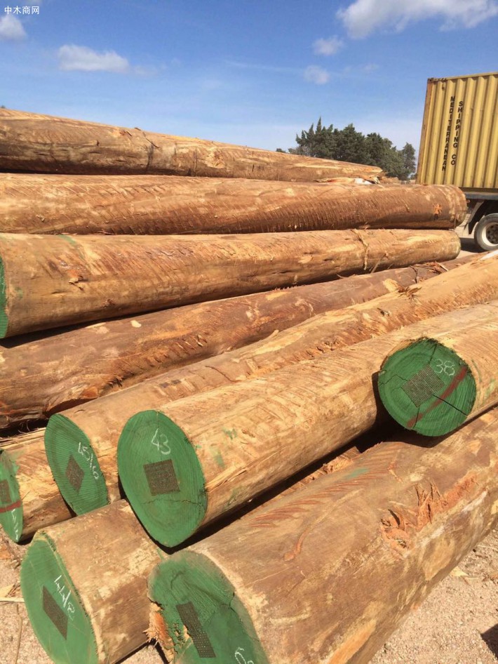 南美洲原木供应商已重新开始