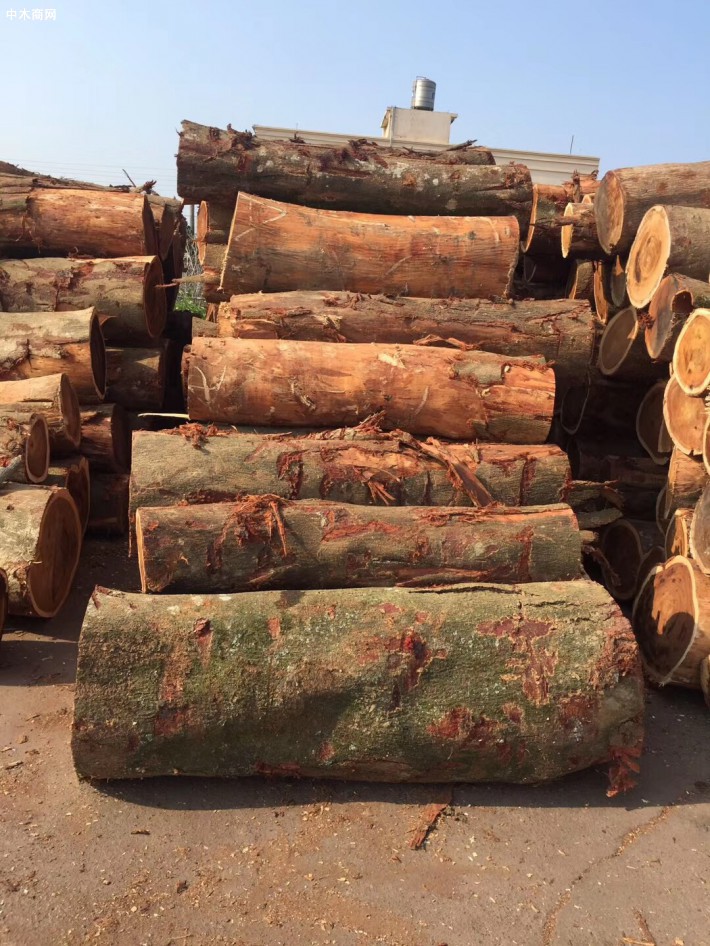 全球原木供应对木材产品的需求恢复仍要一段时间