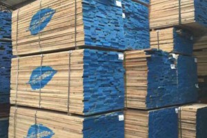 青岛东地木业北美白橡木板材高清图片