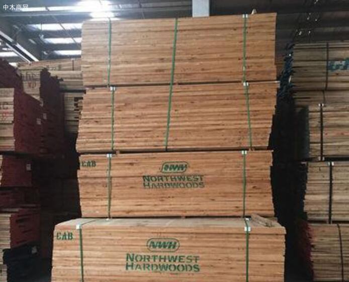 精品北美赤桦木烘干板材厂家长期批发