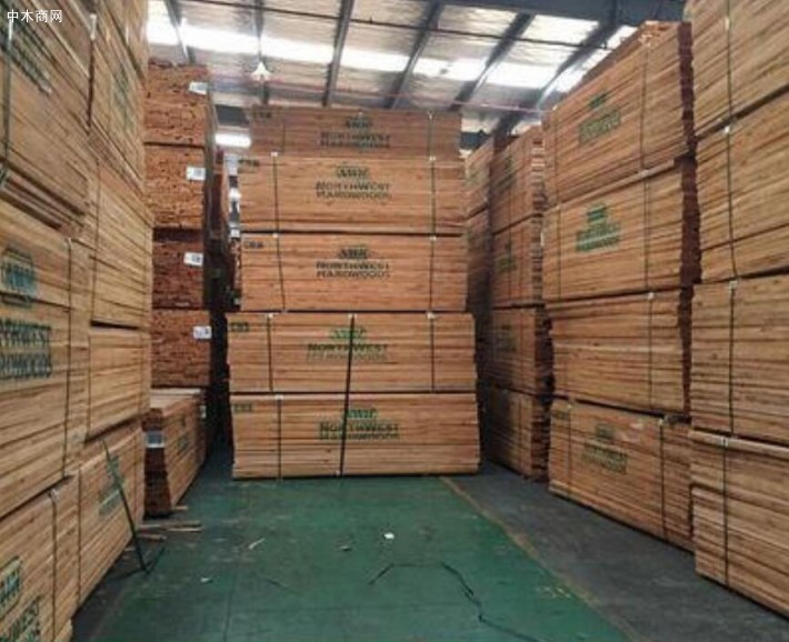 美国赤桦木板材厂家今日最新报价