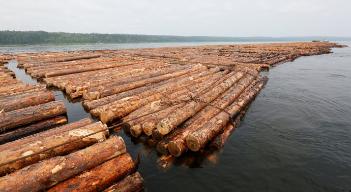 交通运输部官网发布木材水运降低港口收费政策延续到年底