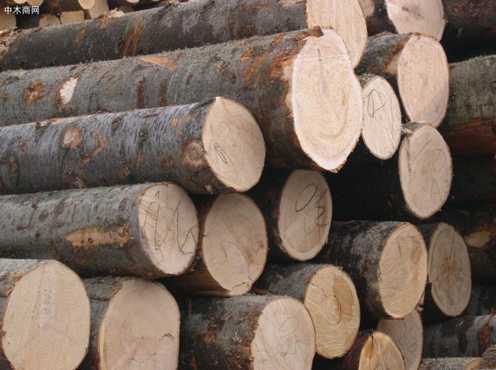 雨季中木材价格行情_2020年7月3日