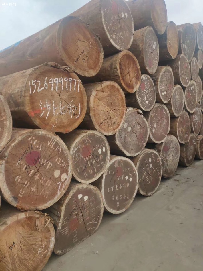 临沂祥云木业非洲进口沙比利原木高清图片