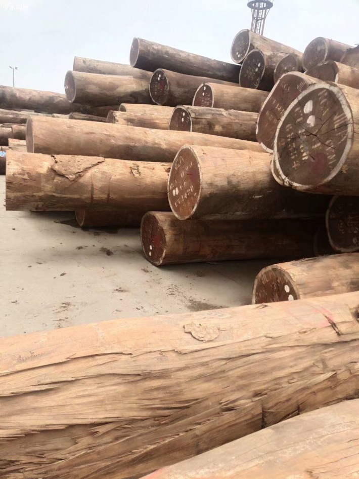 临沂祥云木业非洲进口沙比利原木高清图片品牌