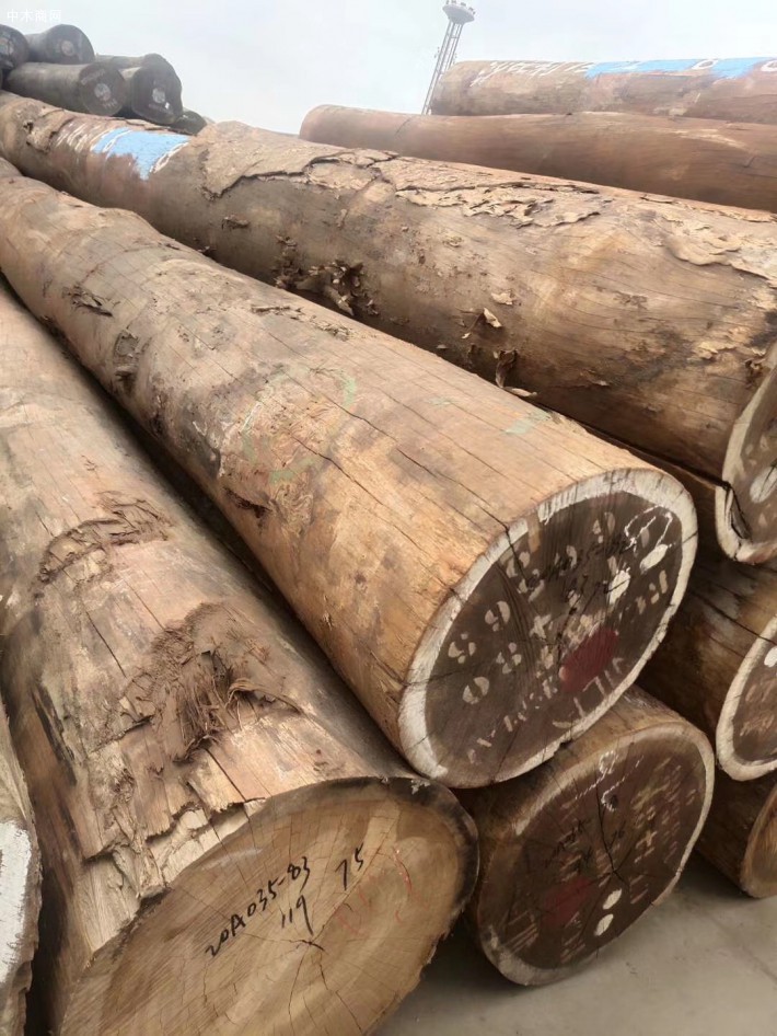 临沂祥云木业非洲进口沙比利原木高清图片供应