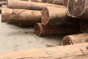 进口沙比利原木厂家批发价格图3