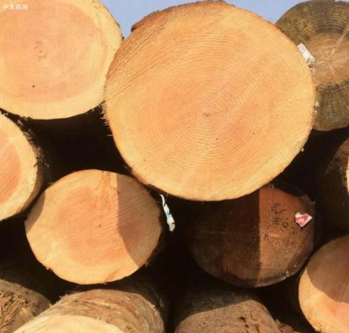 辐射松木材优缺点及密度具体是多少图片