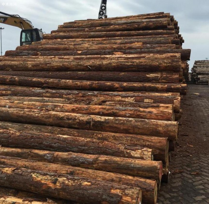 辐射松木材优缺点及密度具体是多少采购