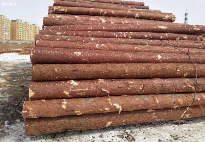 俄罗斯停止木材及其制品出口定期临时报关