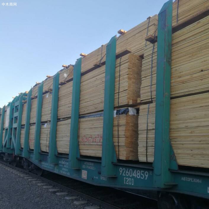 俄罗斯停止木材出口定期临时报关