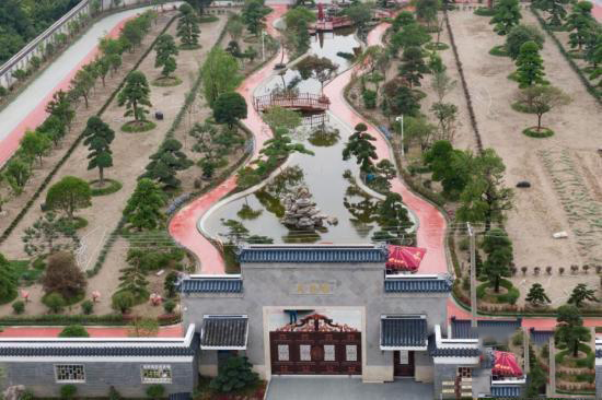 江苏南通苗木盆景种出“小康树”