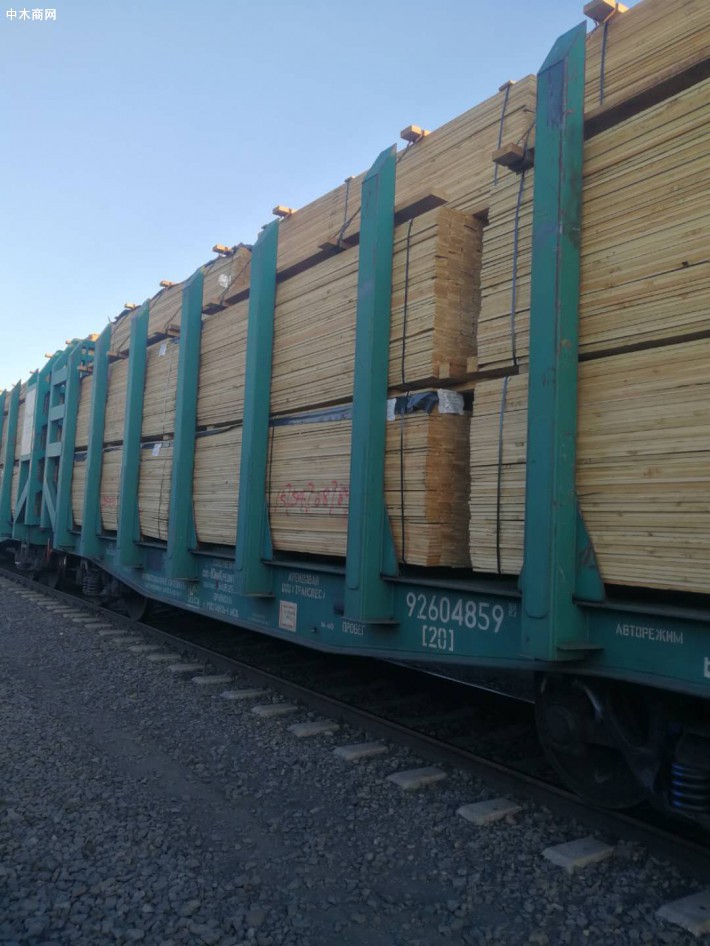 总值60余万元俄罗斯进口木材抵达乌兰察布市