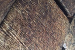 缅甸金丝楠木大板,波纹板,黄金樟树瘤板,一手货源图2