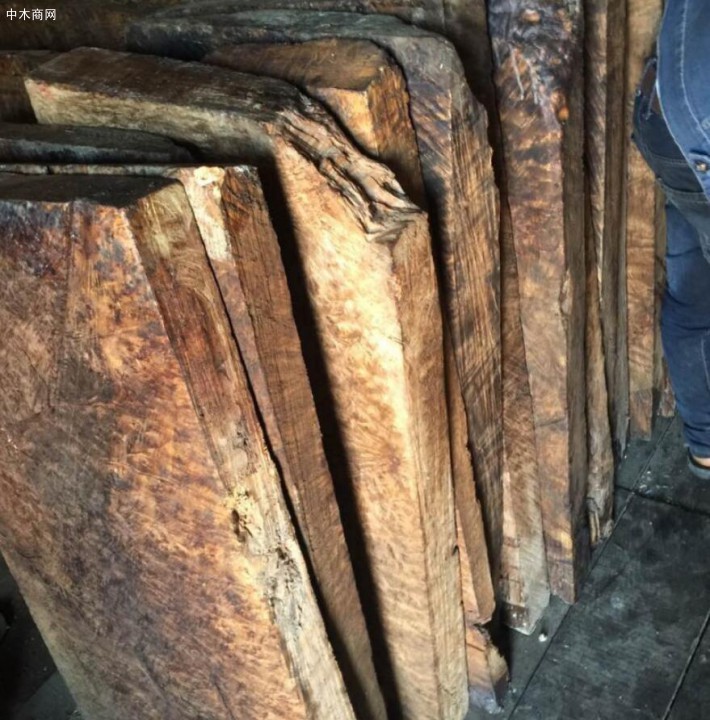 缅甸黄金樟大板料优价批发优先考虑缅甸木材厂家价格