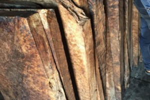 缅甸黄金樟大板料优价批发首选缅甸木材厂家图3