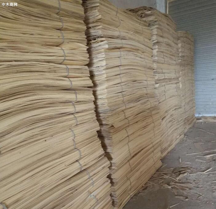 杨木板皮生产厂家批发价格采购