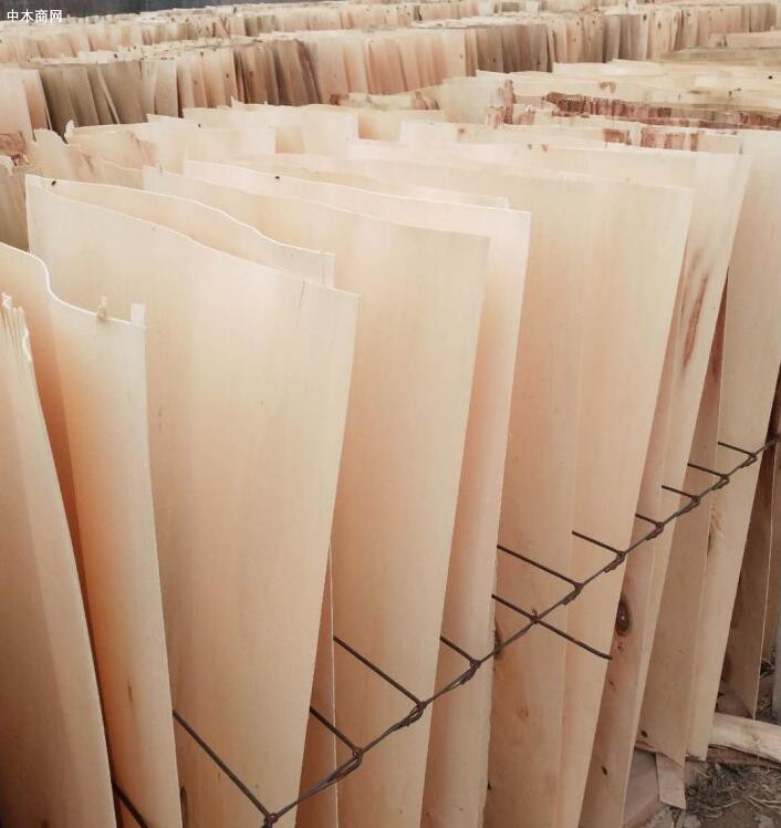 杨木板皮生产厂家批发价格报价