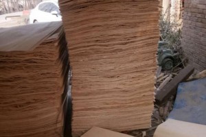 杨木板皮生产厂家批发价格